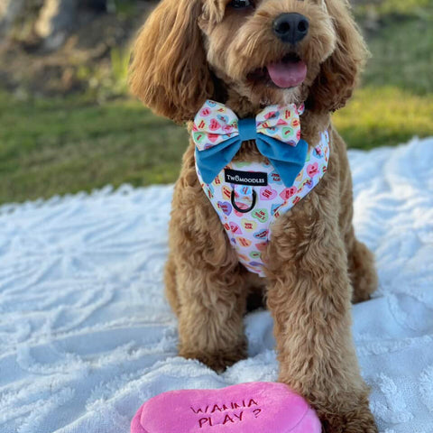 SAILOR BOW TIES - SWEET TALKER