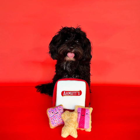 BURROW TOY - ARMUTTS BISCUITS