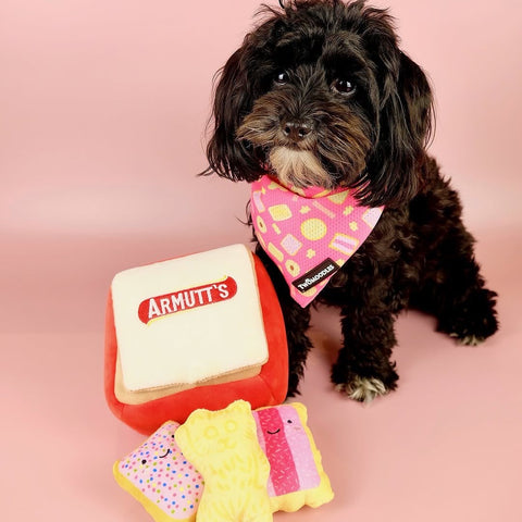 BURROW TOY - ARMUTTS BISCUITS