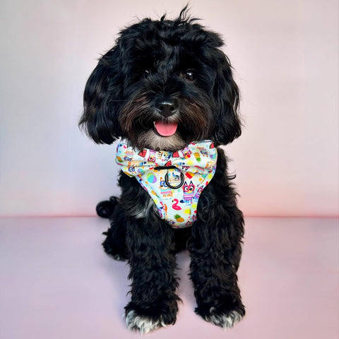 HARNESS ADJUSTABLE - BEACH BLUEY