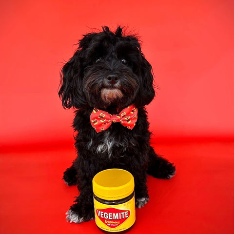 BURROW DOGEMITE WITH MINI TOASTS