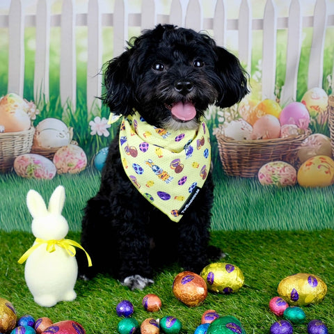 BANDANA - AUSSIE EASTER