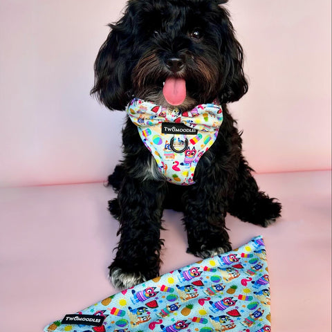 BANDANA - BEACH BLUEY