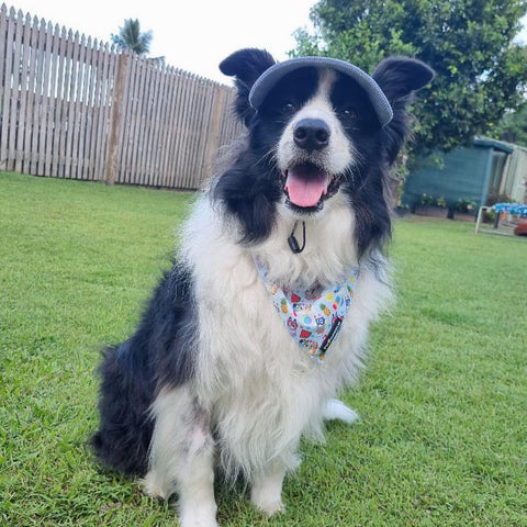 BANDANA - BEACH BLUEY