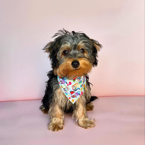 BANDANA - BEACH BLUEY