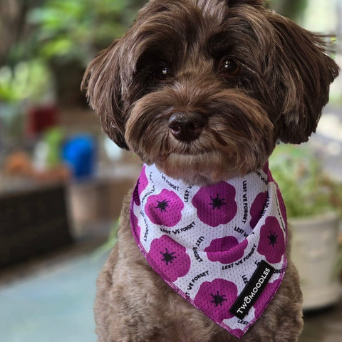 BANDANA - PURPLE POPPY