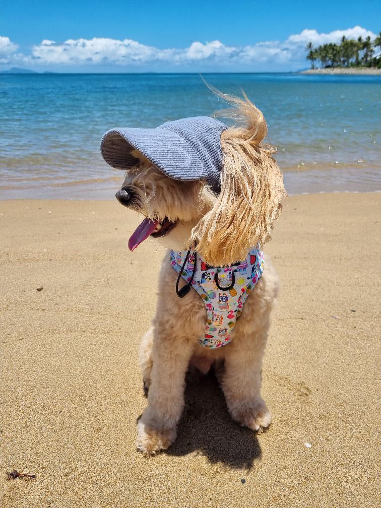 DOG HATS