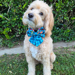 SAILOR BOW TIES - BUNNINGS TRIP