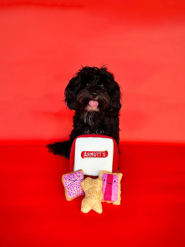 BURROW TOY - ARMUTTS BISCUITS