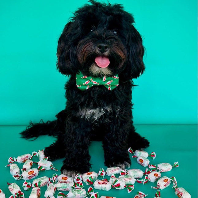 BOW TIE- MINTIES