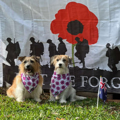 BANDANA - PURPLE POPPY 