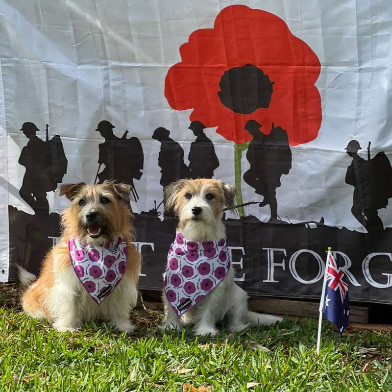 BANDANA - PURPLE POPPY 