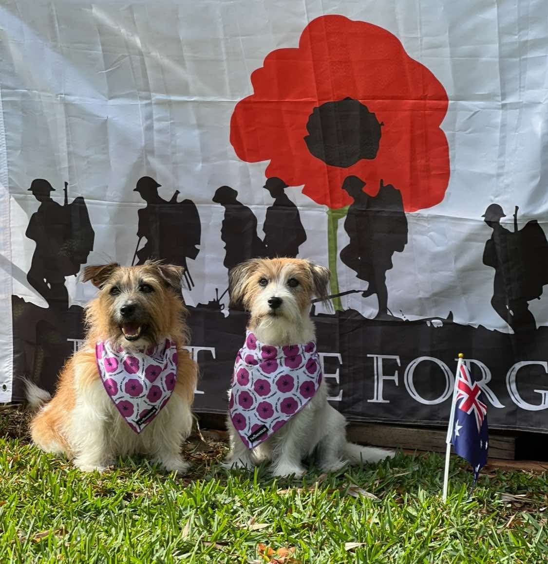 BANDANA - PURPLE POPPY "LEST WE FORGET"