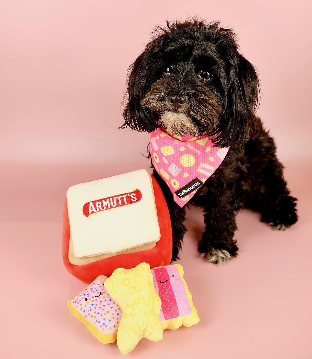 BANDANA - ARMUTTS BISCUITS