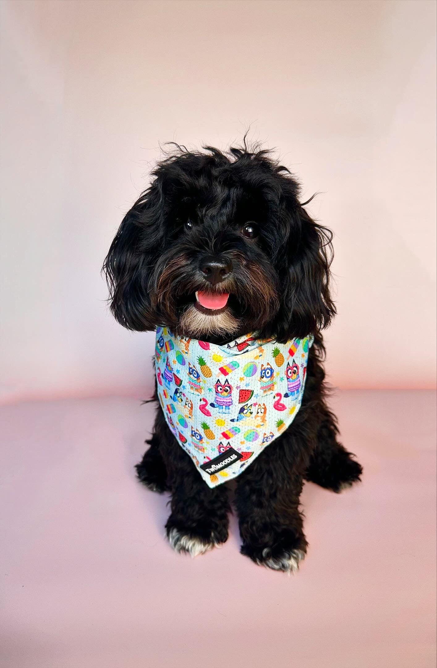 TWOMOODLES BANDANA - BEACH BLUEY