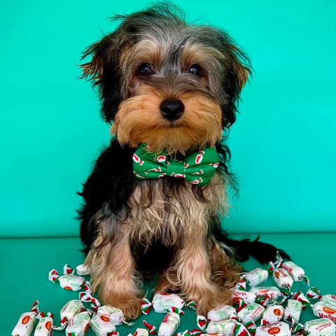 BOW TIE- MINTIES