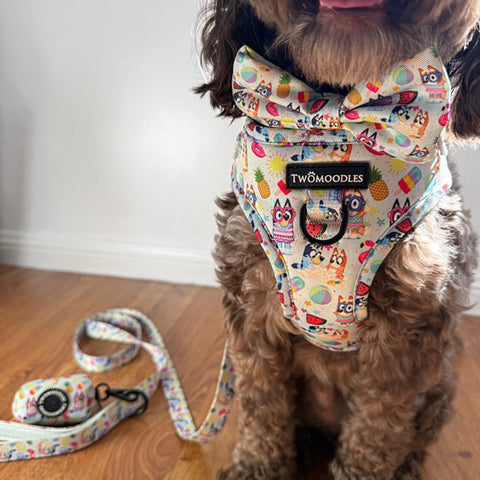 BOW TIE - BEACH BLUEY