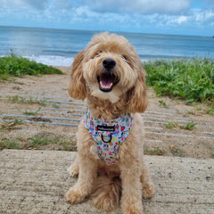 HARNESS ADJUSTABLE - BEACH BLUEY