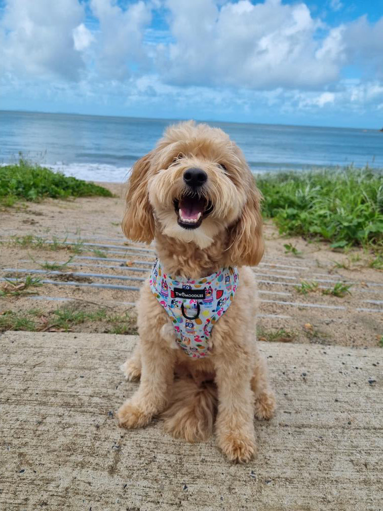 HARNESS ADJUSTABLE - BEACH BLUEY