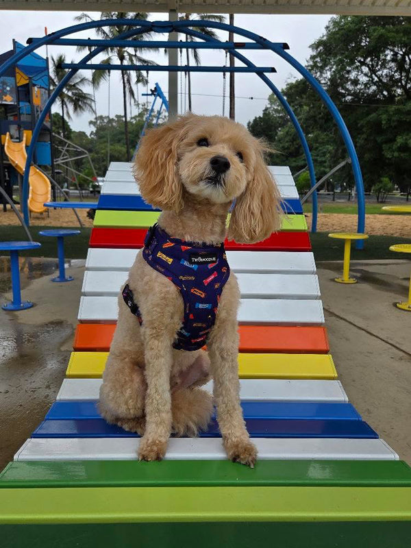HARNESS ADJUSTABLE - FAVEMUTTS