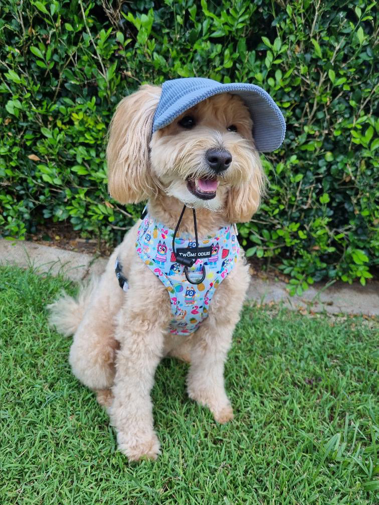 DOG HATS