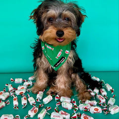 BANDANA - MINTIES