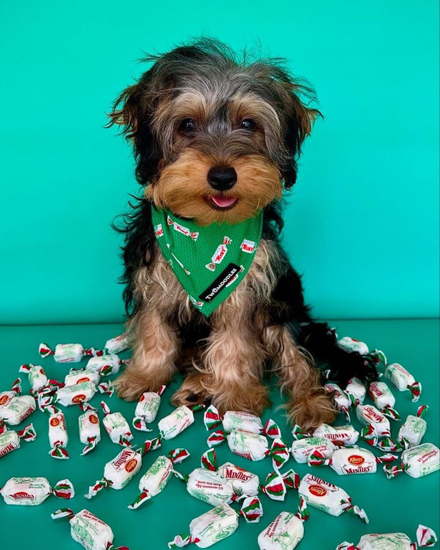 BANDANA - MINTIES