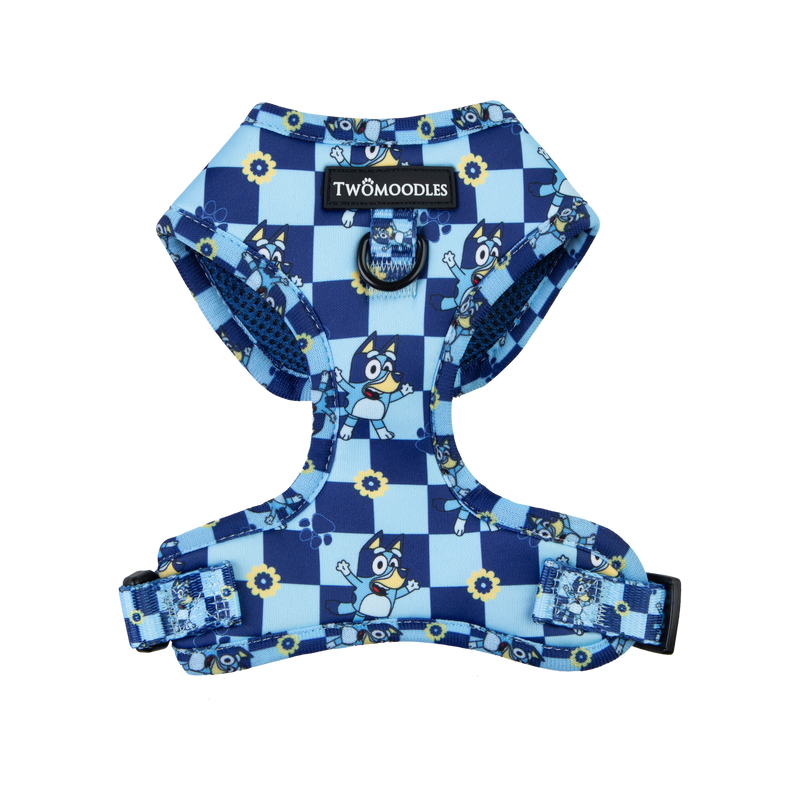 HARNESS ADJUSTABLE - TRUE BLUEY
