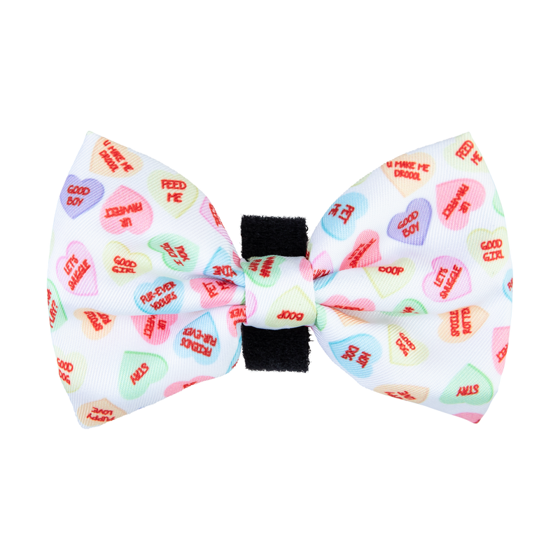 BOW TIE - SWEET TALKER