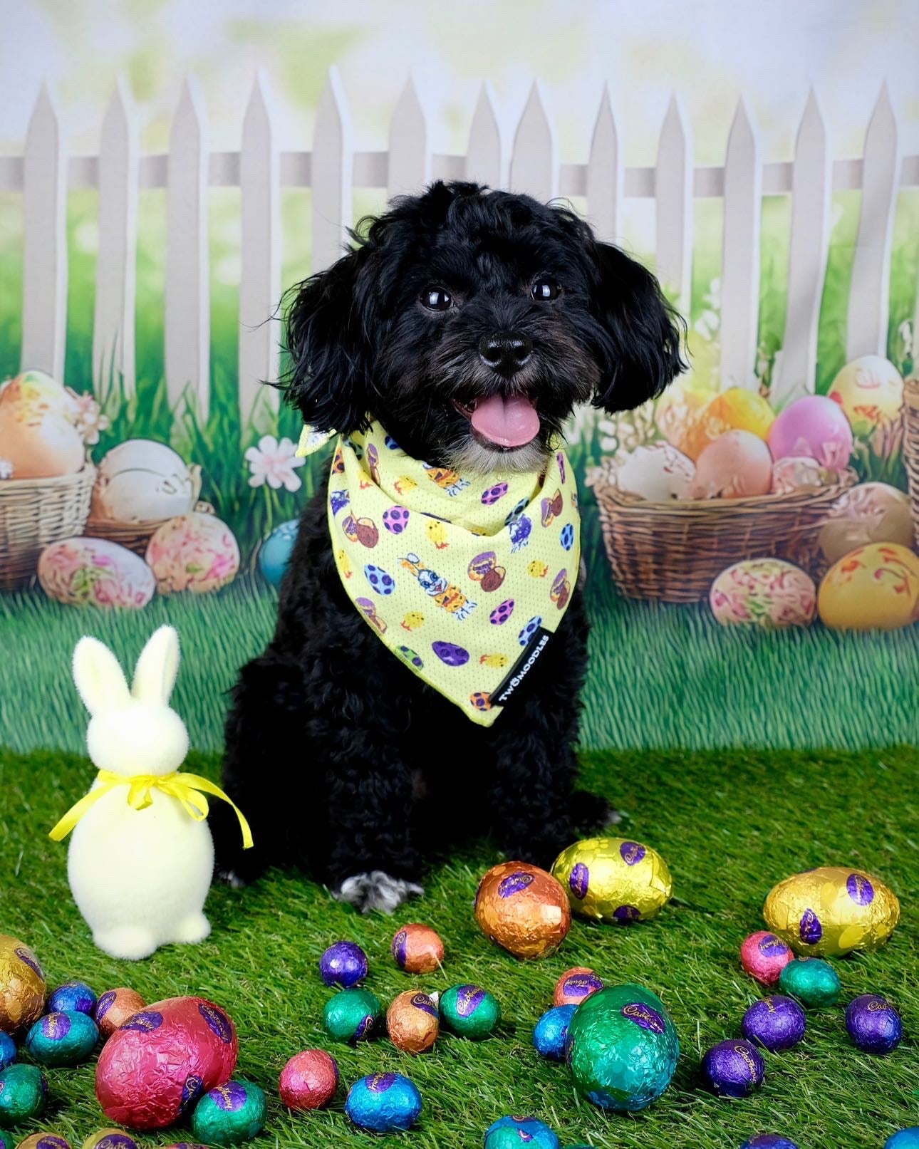 BANDANA - AUSSIE EASTER