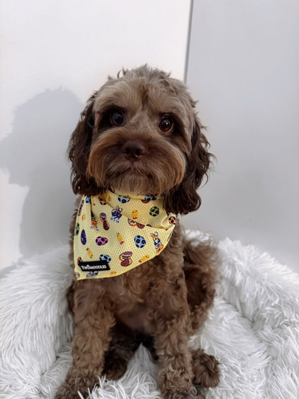 BANDANA - AUSSIE EASTER