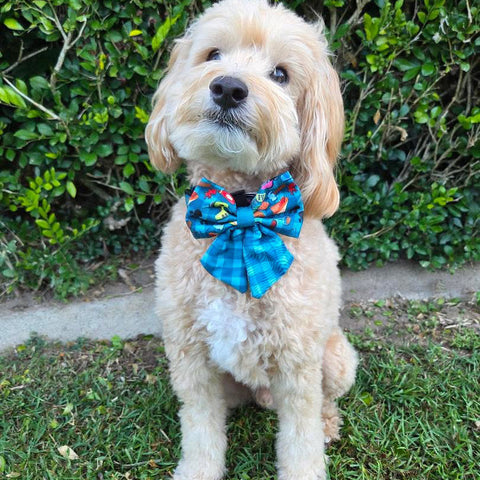 SAILOR BOW TIES - BUNNINGS TRIP
