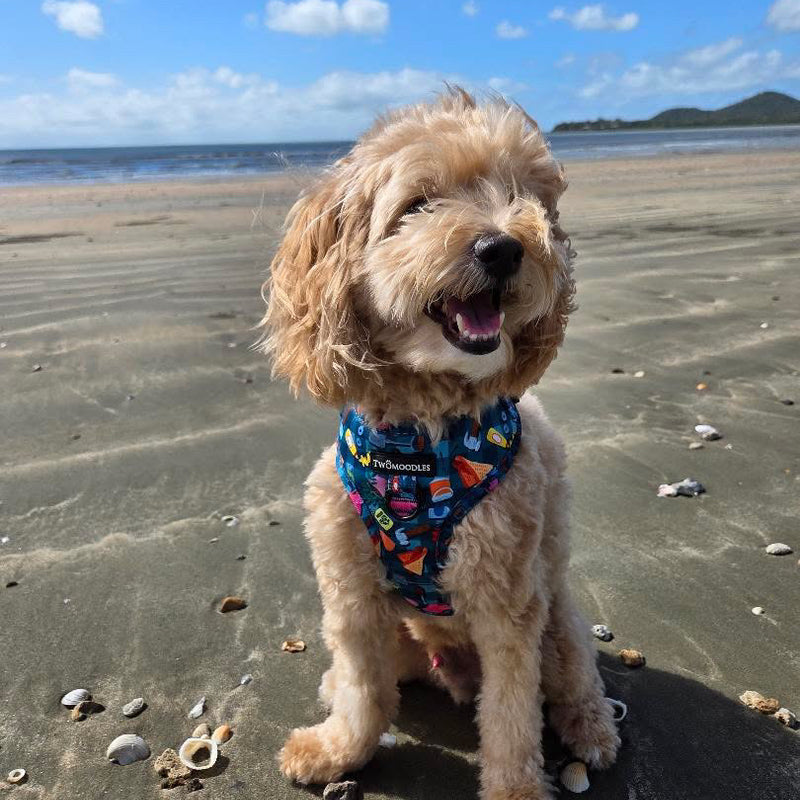 HARNESS ADJUSTABLE - BUNNINGS TRIP