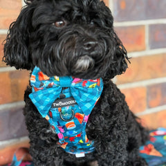 HARNESS ADJUSTABLE - BUNNINGS TRIP