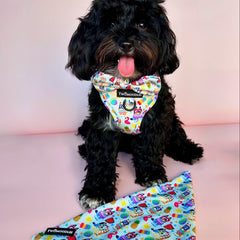 BANDANA - BEACH BLUEY