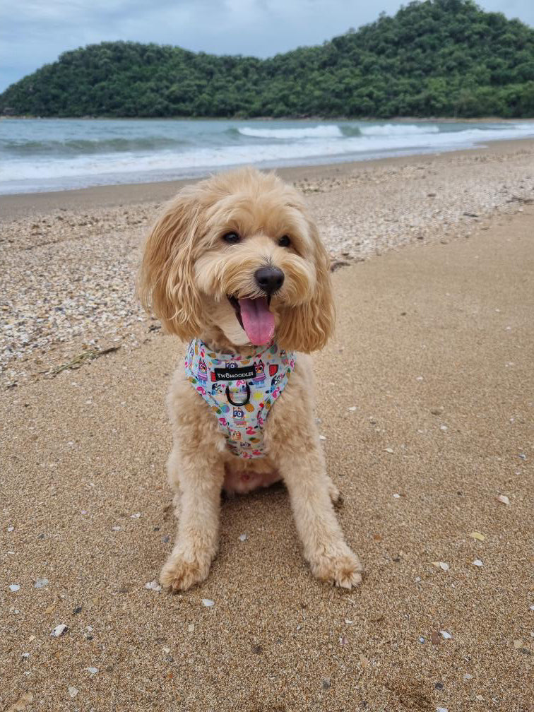HARNESS ADJUSTABLE - BEACH BLUEY