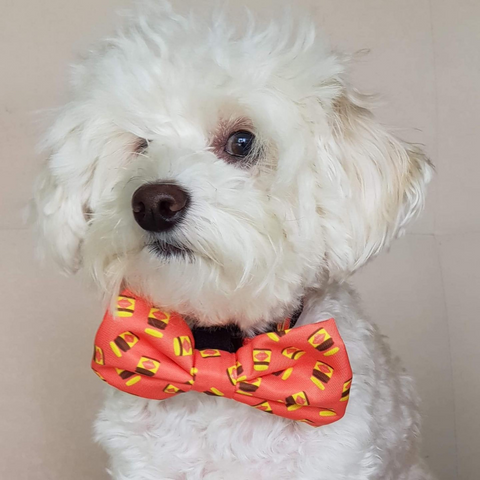 Bow Ties