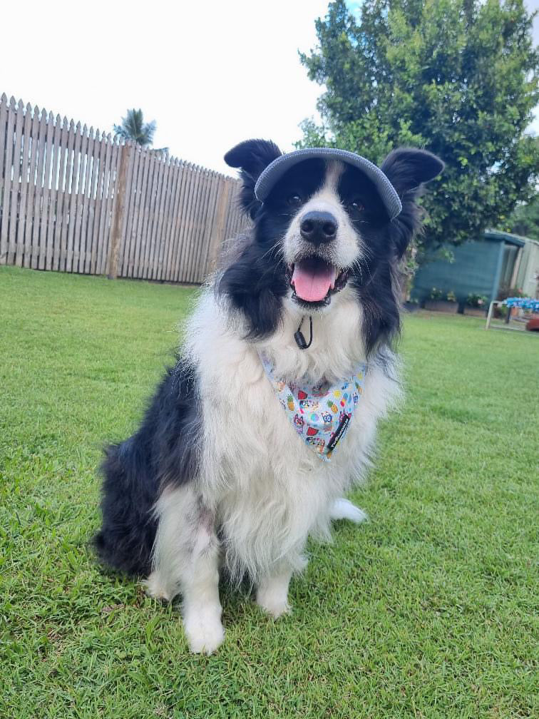 BANDANA - BEACH BLUEY