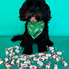 BANDANA - MINTIES