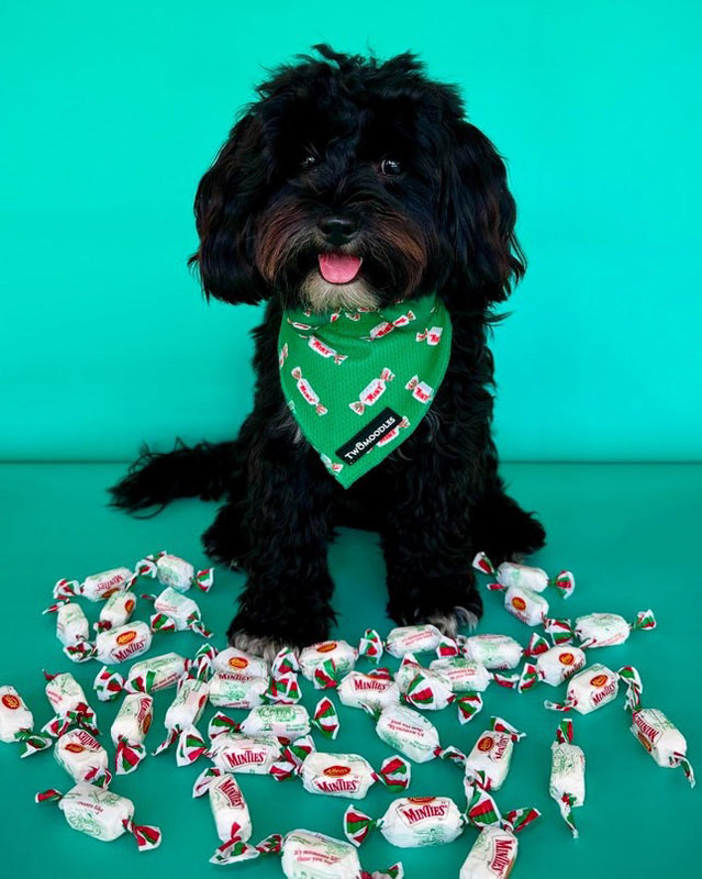 BANDANA - MINTIES