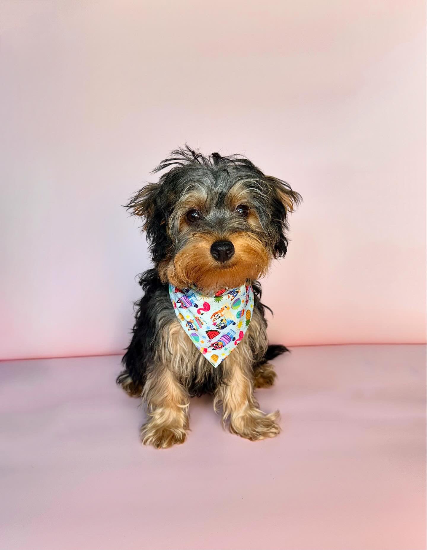 TWOMOODLES BANDANA - BEACH BLUEY