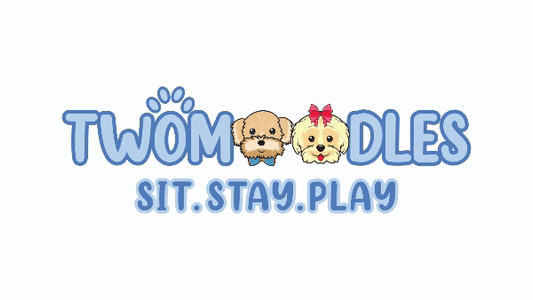 Twomoodles