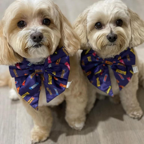 SAILOR BOW TIES - FAVEMUTTS