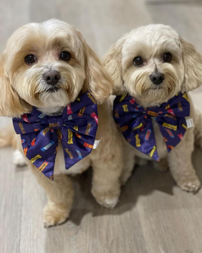 TWOMOODLES SAILOR BOW TIES - FAVEMUTTS