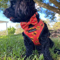 BOW TIE - DOGEMITE