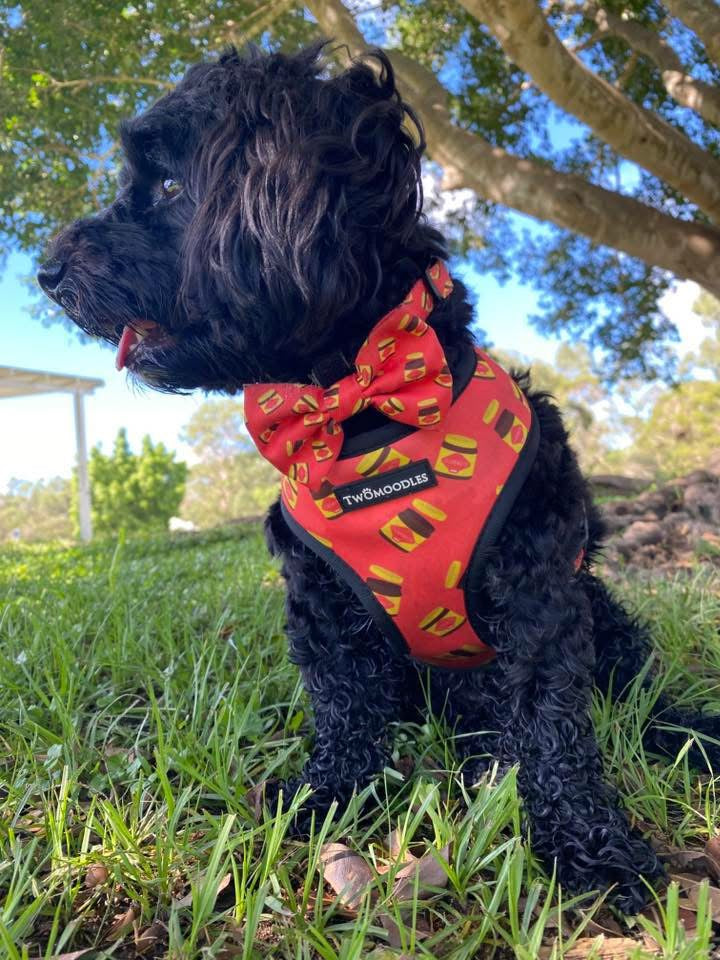 BOW TIE - DOGEMITE