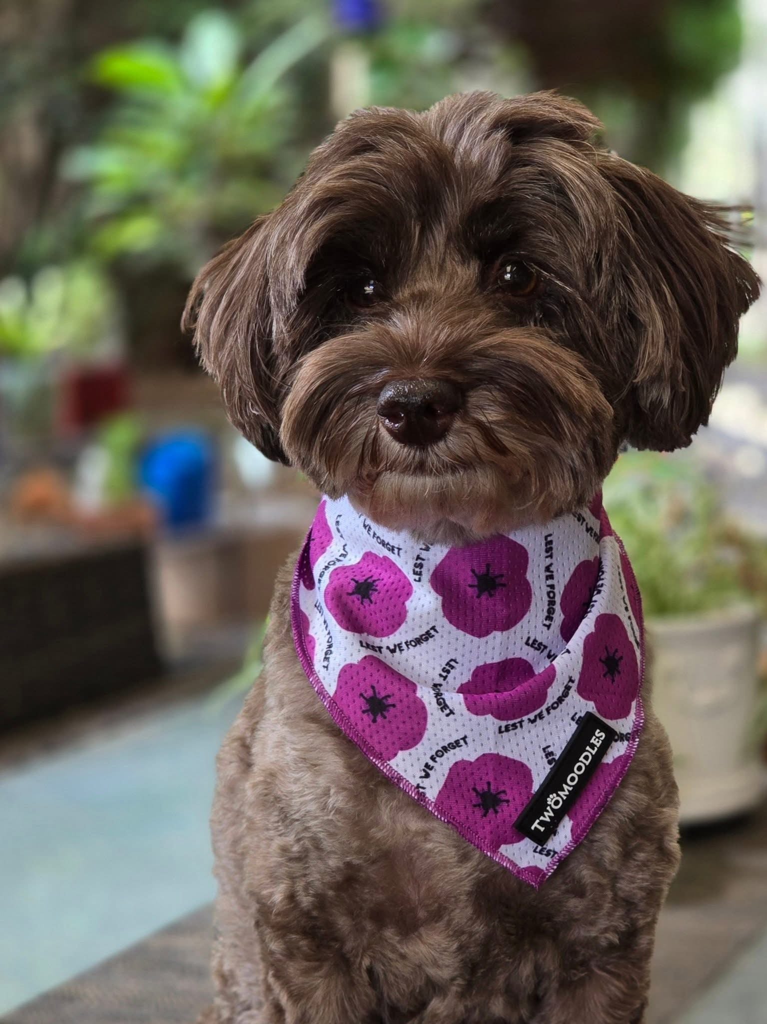 BANDANA - PURPLE POPPY "LEST WE FORGET"