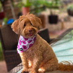 BANDANA - PURPLE POPPY 