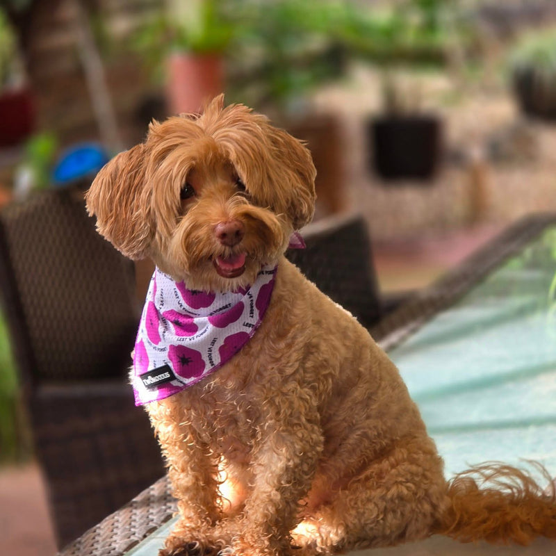 BANDANA - PURPLE POPPY 