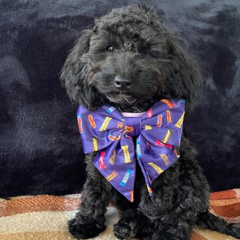 SAILOR BOW TIES - FAVEMUTTS
